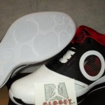 Air Jordan 2010 Dwyane Wade PE