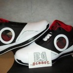 Air Jordan 2010 Dwyane Wade PE