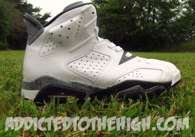 raptor jordan 6