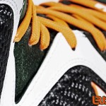 nike-lebron-9-um-hurricanes-3