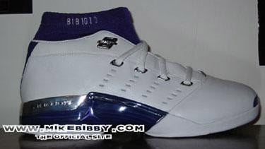 Mike Bibby Jordan PE XVII