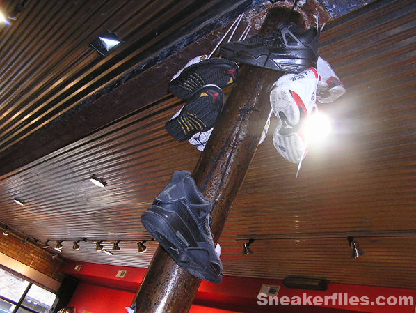 Conscious in Chicago