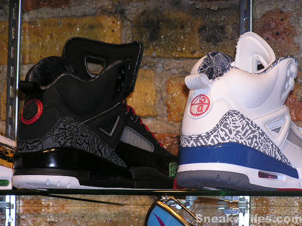 Conscious in Chicago