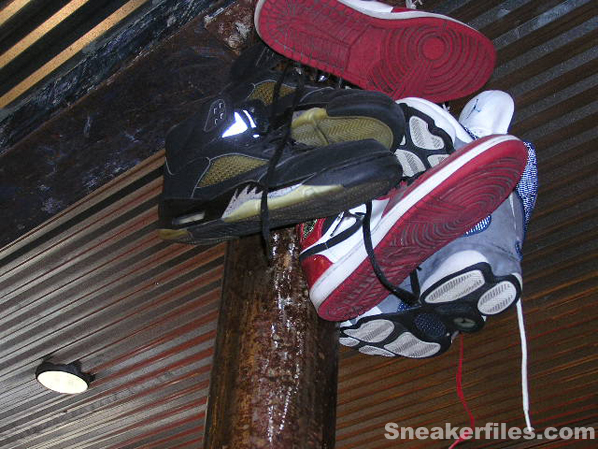 Conscious in Chicago