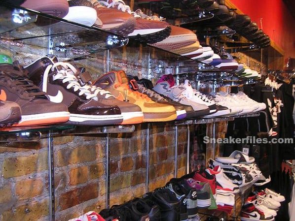 Conscious in Chicago