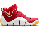 Nike Zoom LeBron Player Exclusives IV 4
