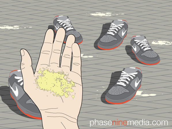 Dunk SB Pigeon Print and New iPod Skin