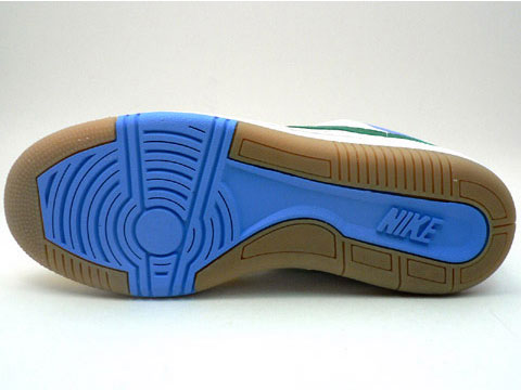 Limited Edition Nike Court Force Multi-Color Low