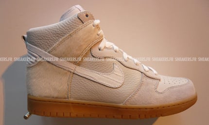 Nike Dunk 2008 Preview