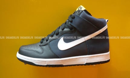 Nike Dunk 2008 Preview