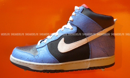 Nike Dunk 2008 Preview
