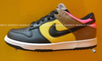 Nike Dunk 2008 Preview