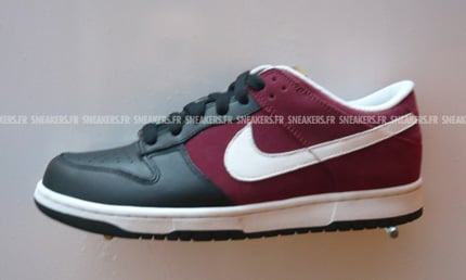 Nike Dunk 2008 Preview