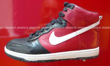 Nike Dunk 2008 Preview
