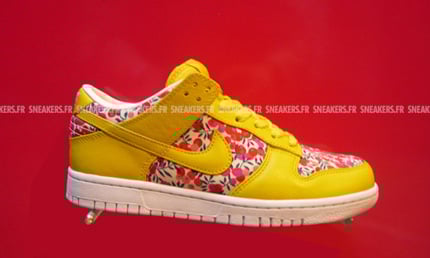 Nike Dunk 2008 Preview