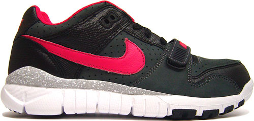 Nike Trainer Dunk Low Grey and Black at Purchaze