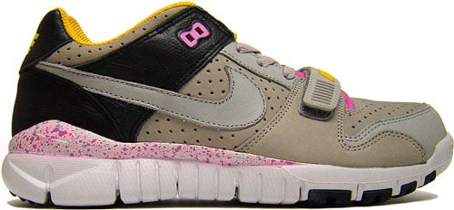 Nike Trainer Dunk Low Grey and Black at Purchaze