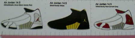 Air Jordan 14.5 Catalog Pictures