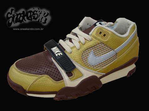 2008 Nike Trainer Dunk Low, SB Trainer Low, Trainer TW II