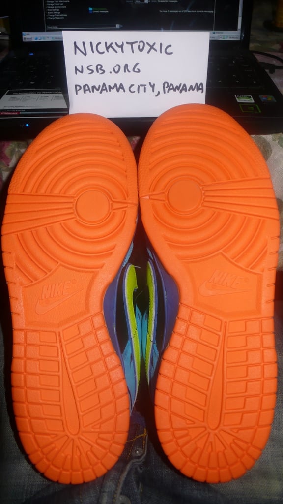 Nike Dunk SB Low Skate or Die Sample