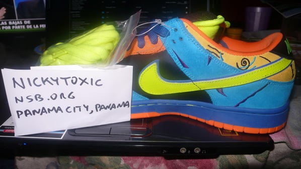 Nike Dunk SB Low Skate or Die Sample