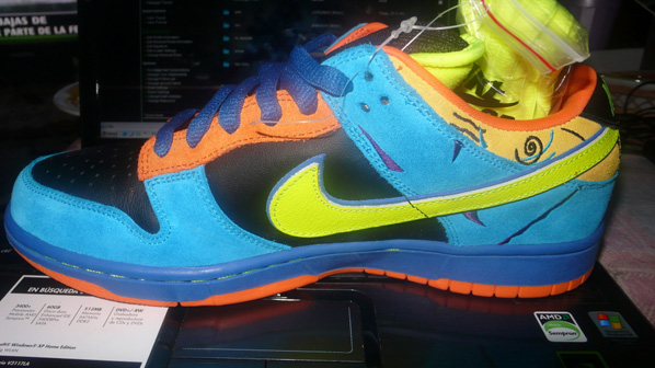 Nike Dunk SB Low Skate or Die Sample