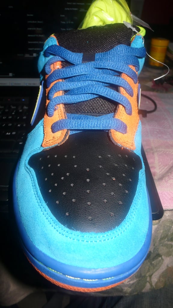 Nike Dunk SB Low Skate or Die Sample