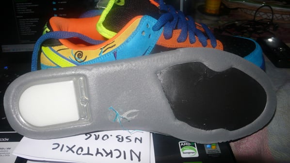 Nike Dunk SB Low Skate or Die Sample