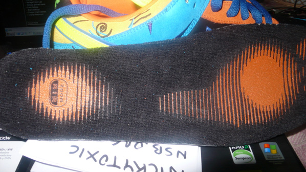 Nike Dunk SB Low Skate or Die Sample