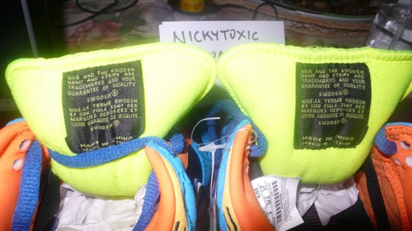 Nike Dunk SB Low Skate or Die Sample