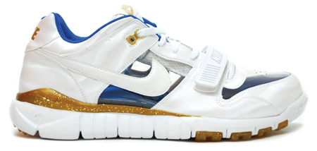 Nike Dunk Trainer Low Invisible - Olympic Inspired
