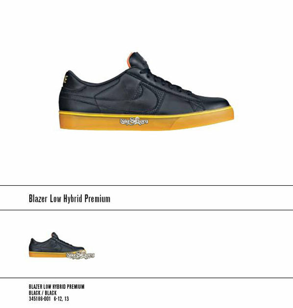 Nike SB Fall 2009 Collection
