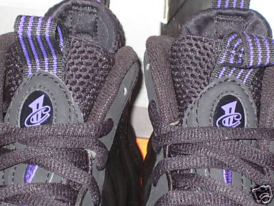 Nike Foamposite One Varsity Purple (Eggplant)