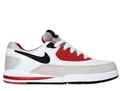 Nike SB January 2009 Collection