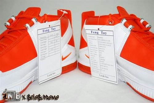 Nike Zoom LeBron II Low Sample - Haters Pack 3