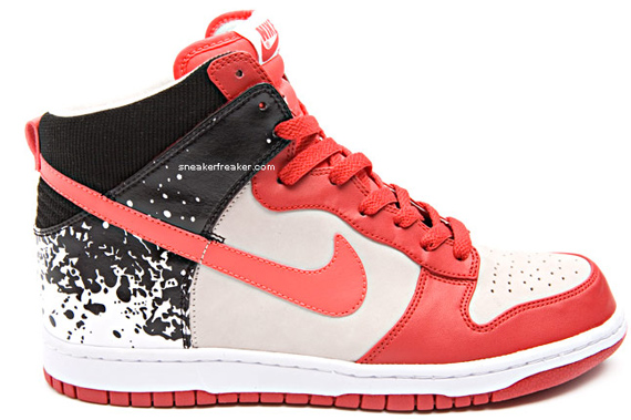 Nike Dunk Tech Challenge