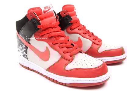 Nike Dunk Tech Challenge