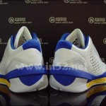 Jordan 2010 Team 'Laney'