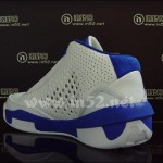 Jordan 2010 Team 'Laney'