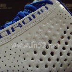 Jordan 2010 Team 'Laney'