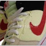 Nike Dunk Mid Pro SB 'Ryu'