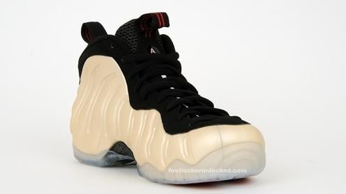 NFoampositeProPearl4