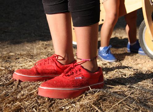 UndftdVansHernanEraLX3