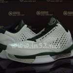 Jordan 2010 Team White / Green / Silver