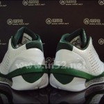 Jordan 2010 Team White / Green / Silver