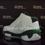 Jordan 2010 Team White / Green / Silver