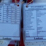 Air Jordan 1 Low 'Looksee' Sample