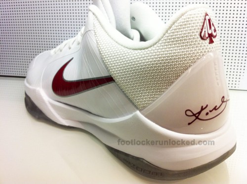 NikeZoomKobeV&LebronIVPEs3