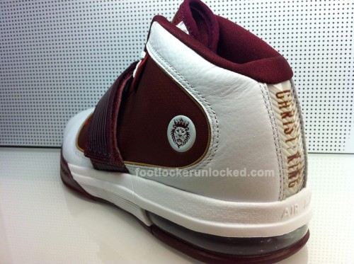 NikeZoomKobeV&LebronIVPEs6