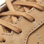 Converse Pro Star 'Baby Bear'